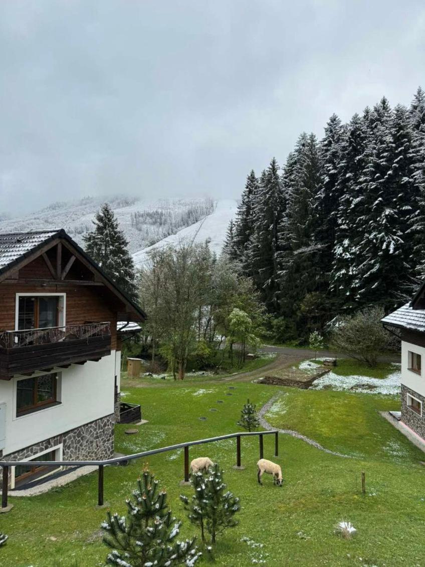 Apartman Grun -Vratna-Paseky Žilina Buitenkant foto